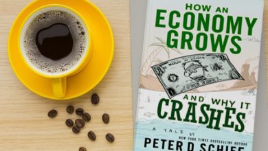 خلاصه کتاب دید اقتصادی پیتر شف